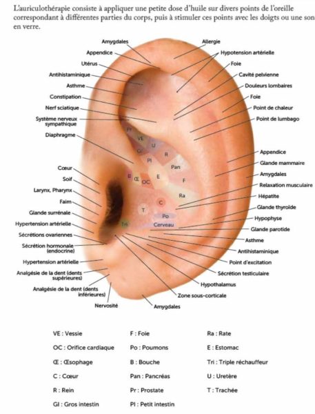 auriculotherapie